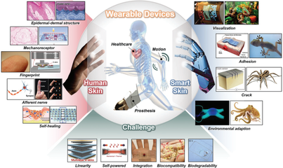 纳米人电子材料 引领未来的科技革命