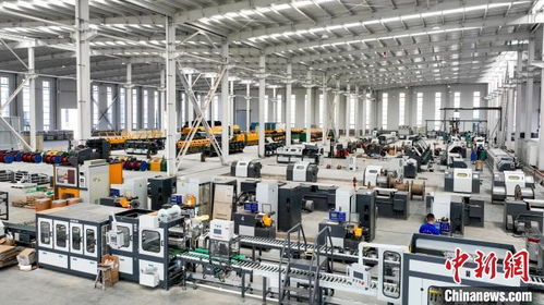 山东精准施策打出“组合拳”，激活民营经济发展新引擎